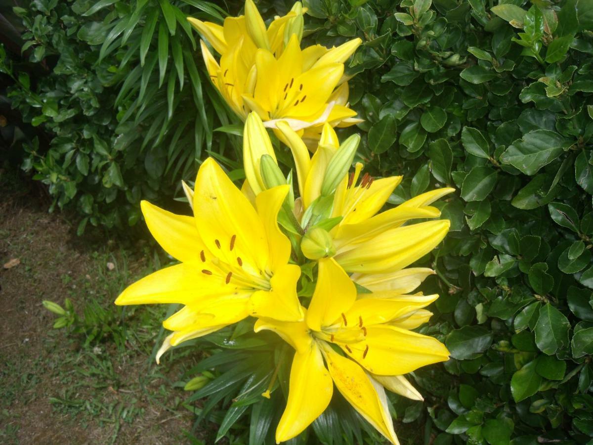 Vila Casa Bianca Lajes das Flores Exteriér fotografie